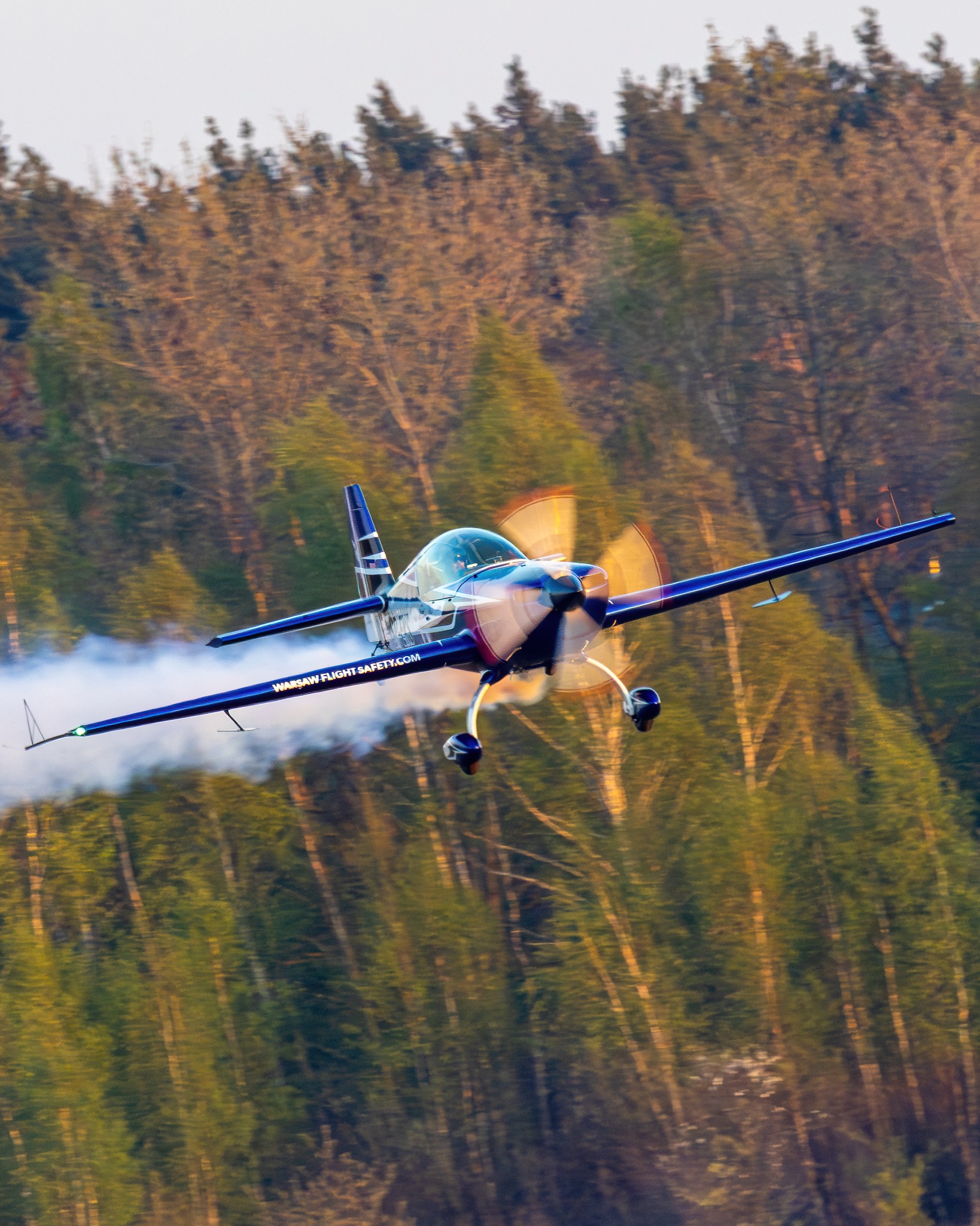 SP-EKS low pass over a forest at golden hour